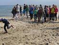 IMG_2972 (Copy)